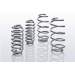 Eibach E30-26-003-01-22 Pro-Lift-Kit Springs